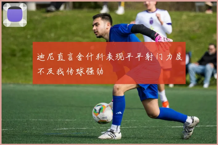迪尼直言舍什科表现平平射门力度不及我传球强劲